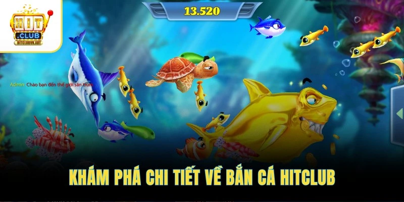 Bắn Cá Hitclub 2 Khám phá chi tiết về bắn cá HITCLUB